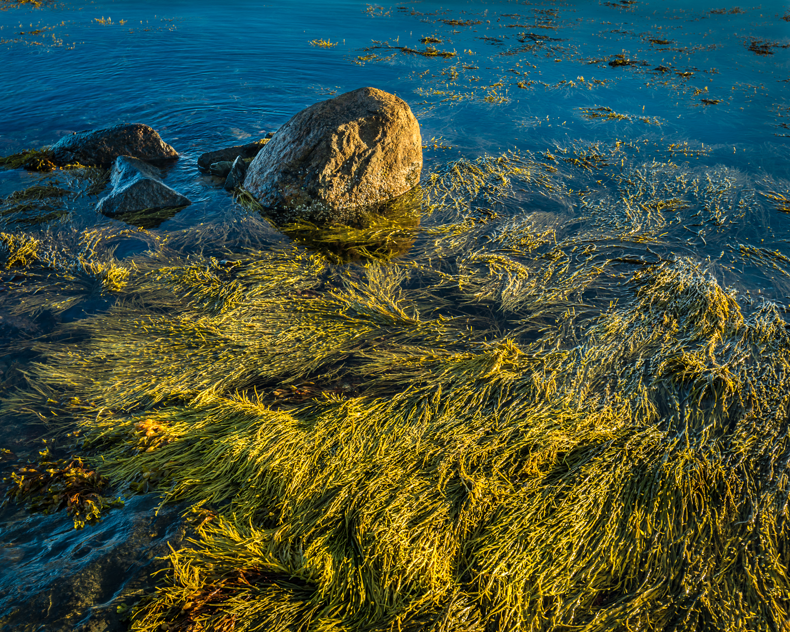 Low Tide at Seawall — Acadia NP, ME  © jj raia