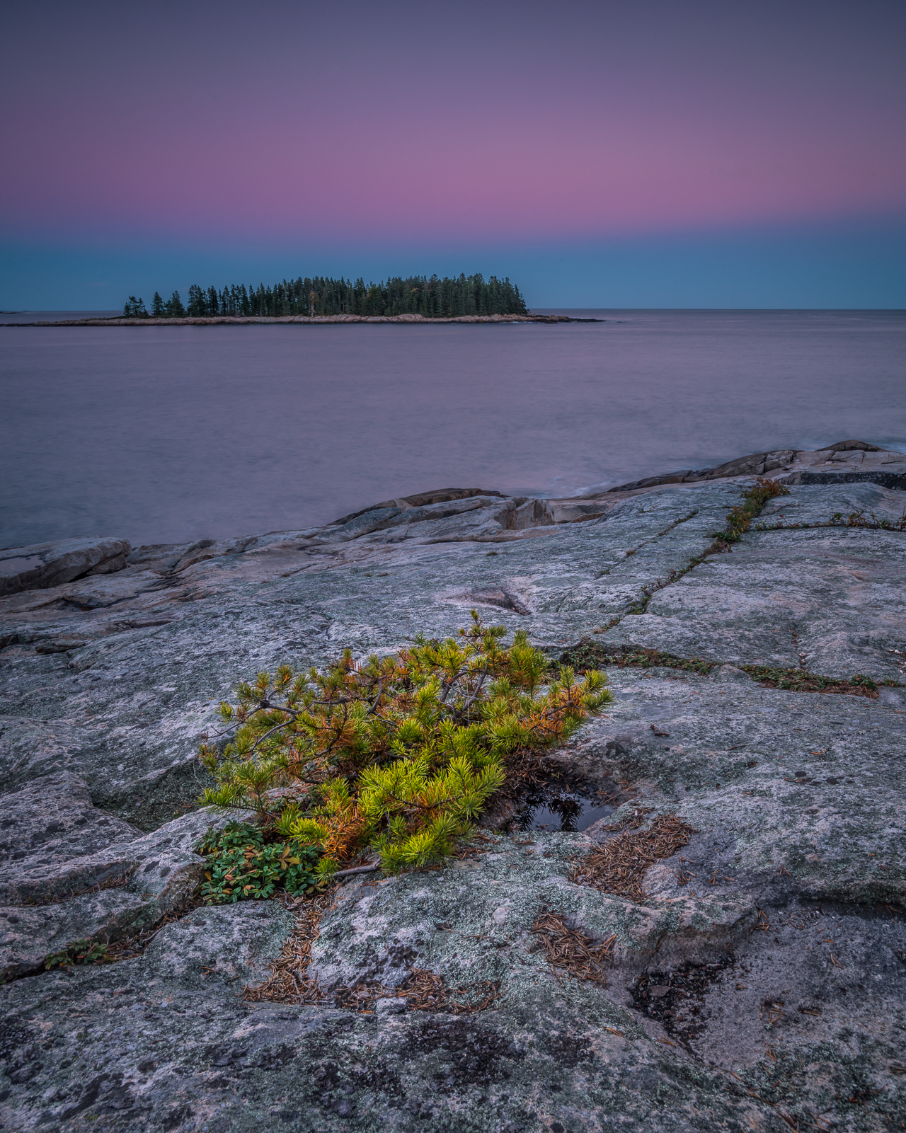 Schoodic Peninsula at Dusk — Acadia NP, ME © jj raia